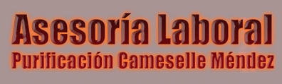 logo_asesoriapcameselle logo_asesoriapcameselle